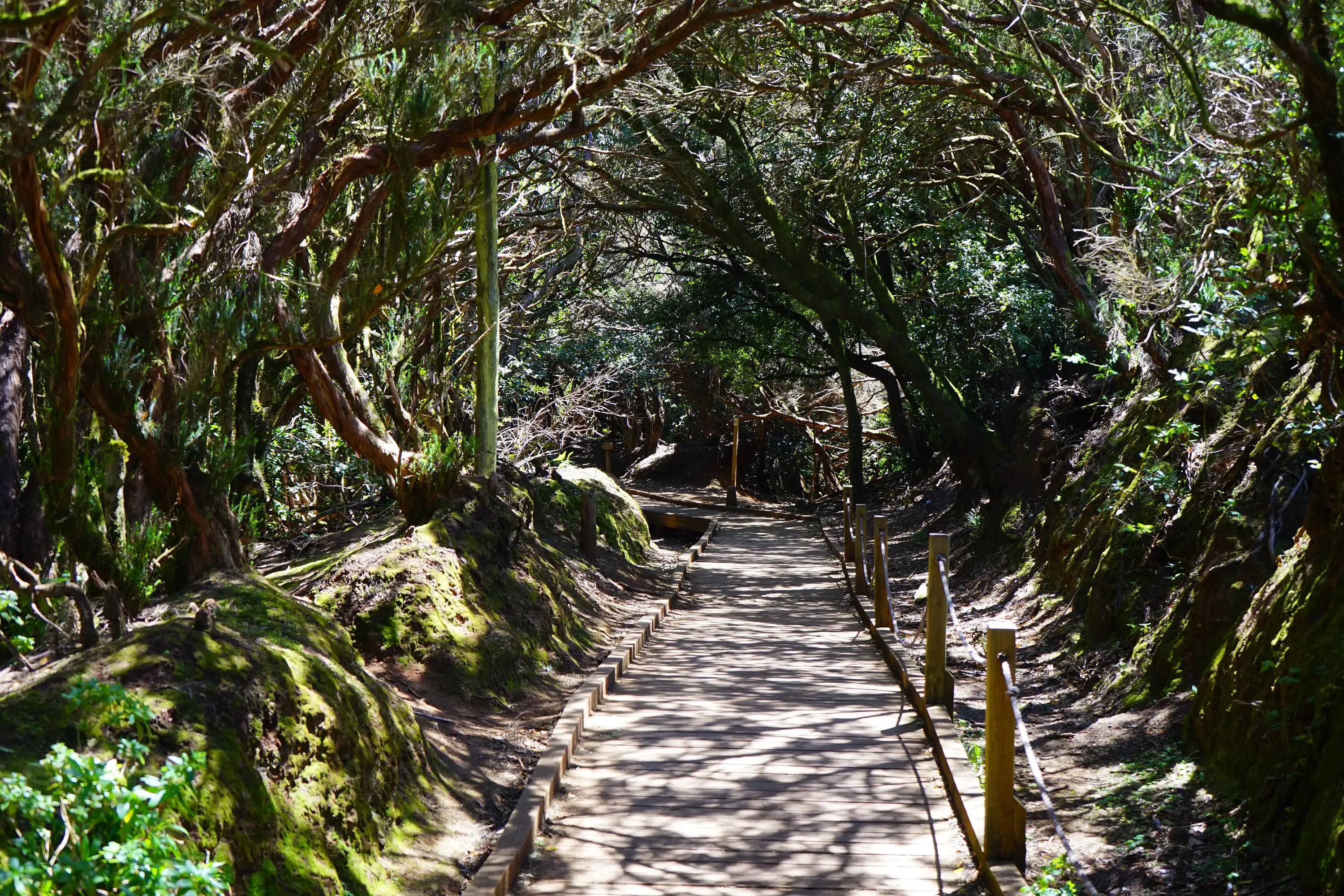 Anaga Rural Park