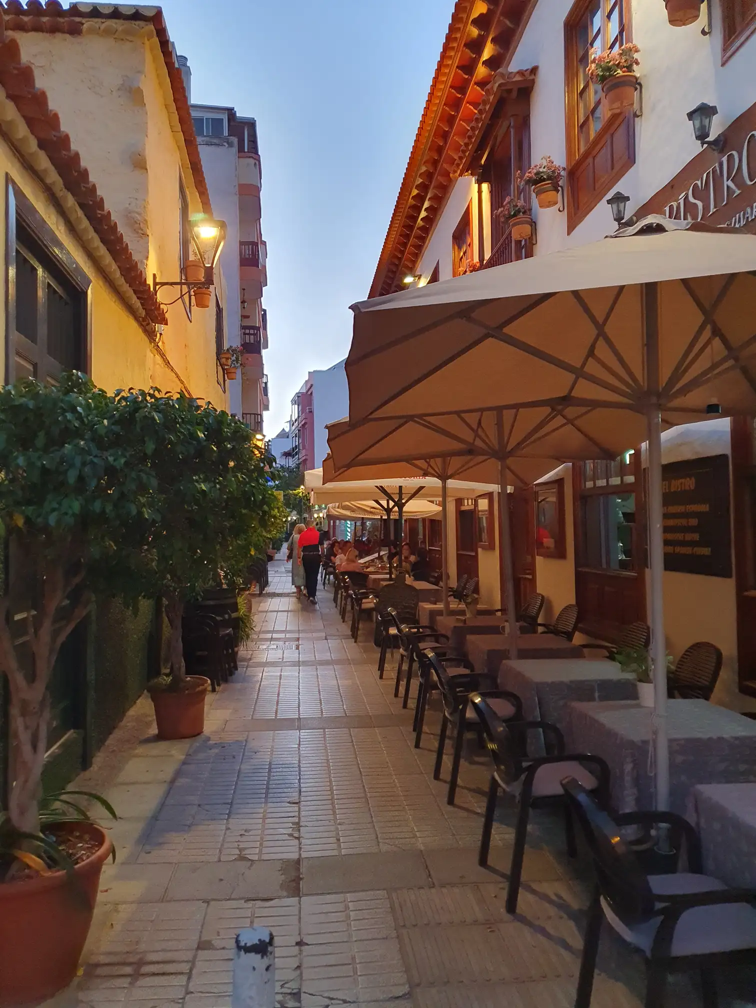 Canarian Cuisine